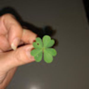 Meet your Posher, Kelly